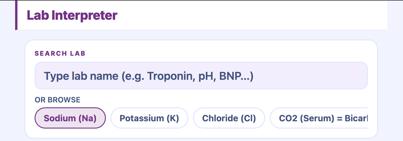 The NURDE Lab Interpreter tool: a search field for any lab name and a row of browse chips for common labs such as Sodium, Potassium, and Chloride.